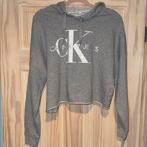 Calvin Klein Cropped Hoodie